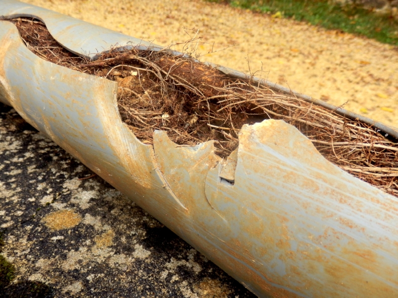 broken drain repairs specialist