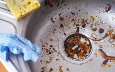 prevent blocked drains at home