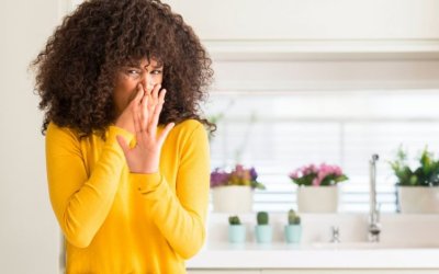 The Ultimate Guide To Cleaning Smelly Drains