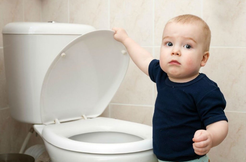 reasons for toilet problems