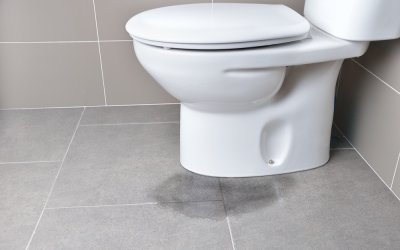 Leaking Toilet Cistern: Main Causes & How To Fix It