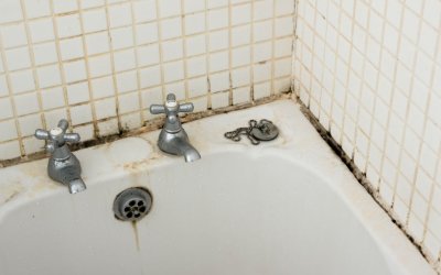 prevent bathroom mould growth