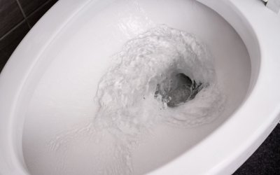 how to drain a toilet bowl