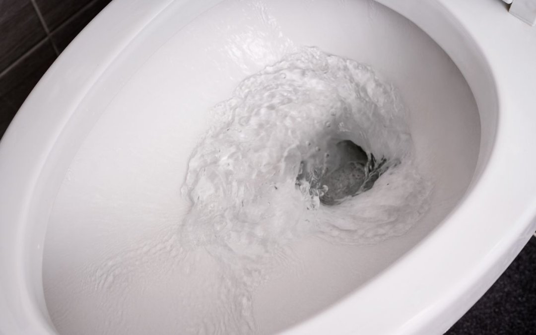 Solving a Weak Toilet Flush in Arundel