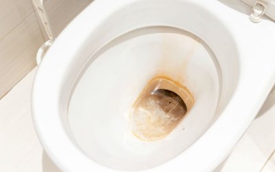 brown toilet stains