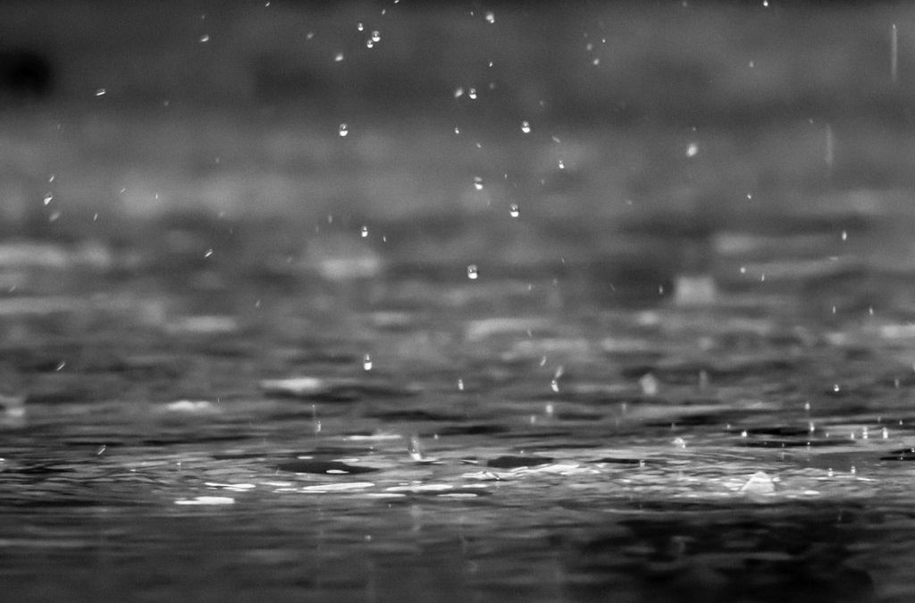 Stormwater Maintenance Tips
