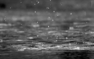 Stormwater Maintenance Tips