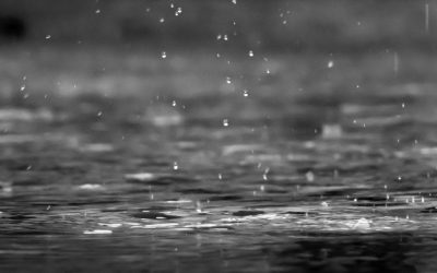 6 At-Home Stormwater Maintenance Tips