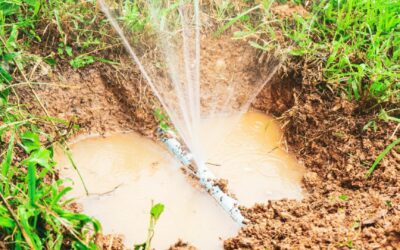 Hidden Trouble: Resolving an Underground Water Leak in Carrara
