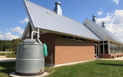 Rainwater Harvesting System Repair in Jacobs Well: Case Study