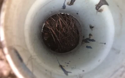 Early warning signs your Gold Coast drains are about to block